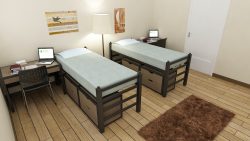 Twin Room, Student Room, Study Desk, Chair, two drawer chest, lamp