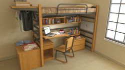 Flex bedroom with wooden loft bed with Desk underneath, and bookshelf.