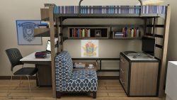 Wooden Loft Bed, Binge Watching Area, Television area, Study Desk, Study Chair, Book Shelf, Television Table, Three drawer table