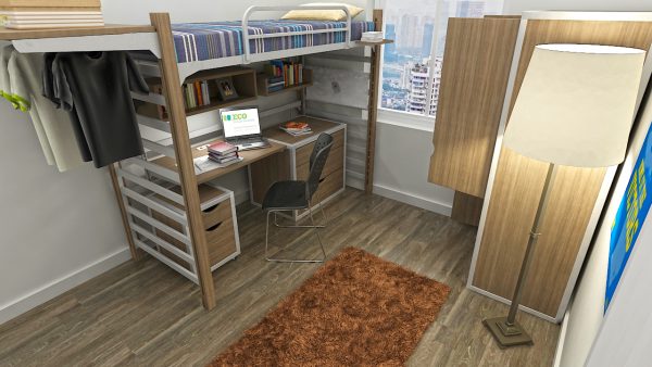 Study Room, Wooden loft bed with Desk, Full Size Wardrobe, Standalone lamp, rug, mattress
