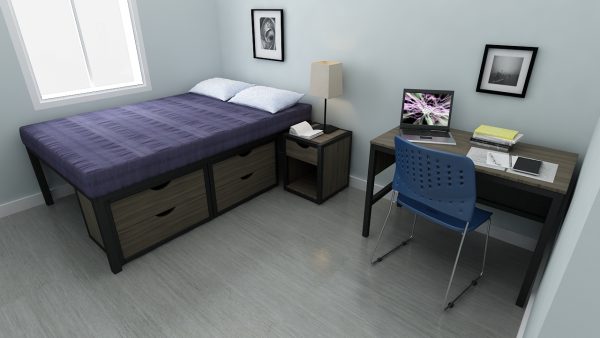 Double Bed, Two drawer chest, night stand with drawer, study desk, lamp, Study chair metal and fiber, mattress , pillow