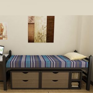 Single Metal Bed, Two Drawer Walnut Color Chest