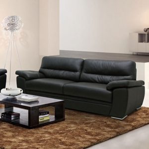 Black Couch, Lounge Sofa, Two Seater Sofa, leather Sofa