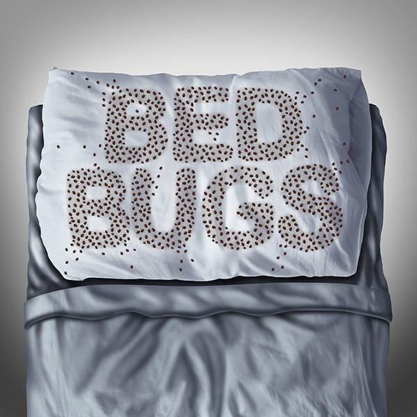 Preventing Bed Bugs in Dorms